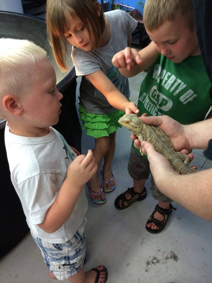 Children looking at a lizard held by an adult
