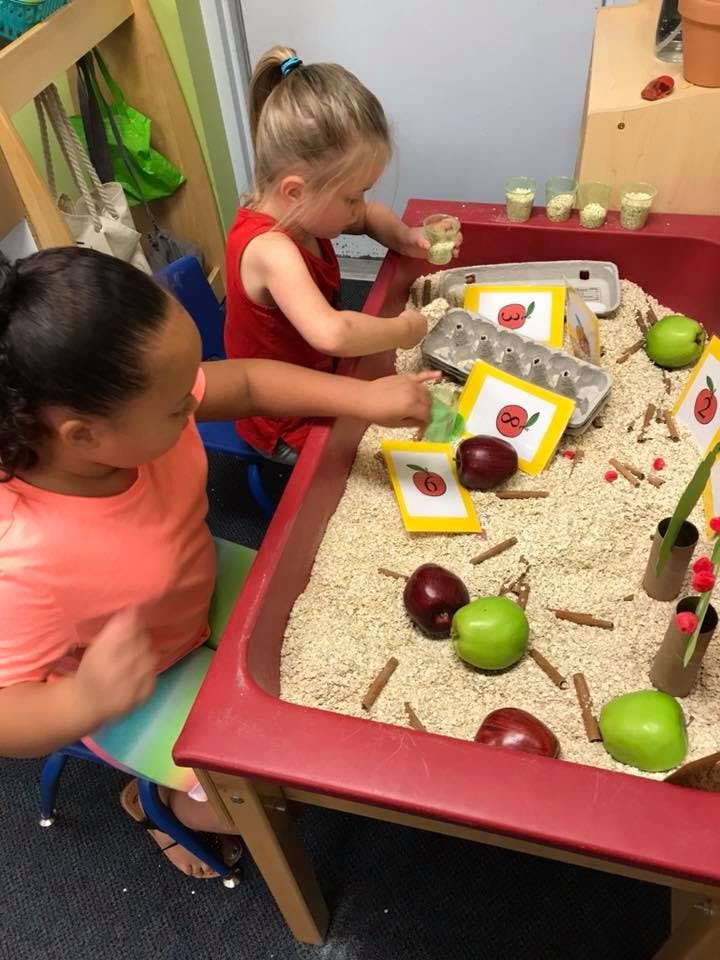 Two children playing at a sensory table with rice, apples, and cinnamon sticks