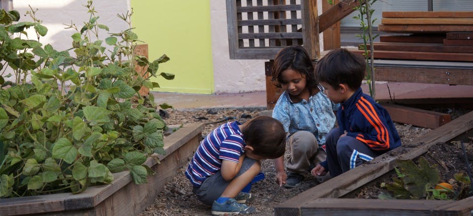 Three children crouching around a garden bed