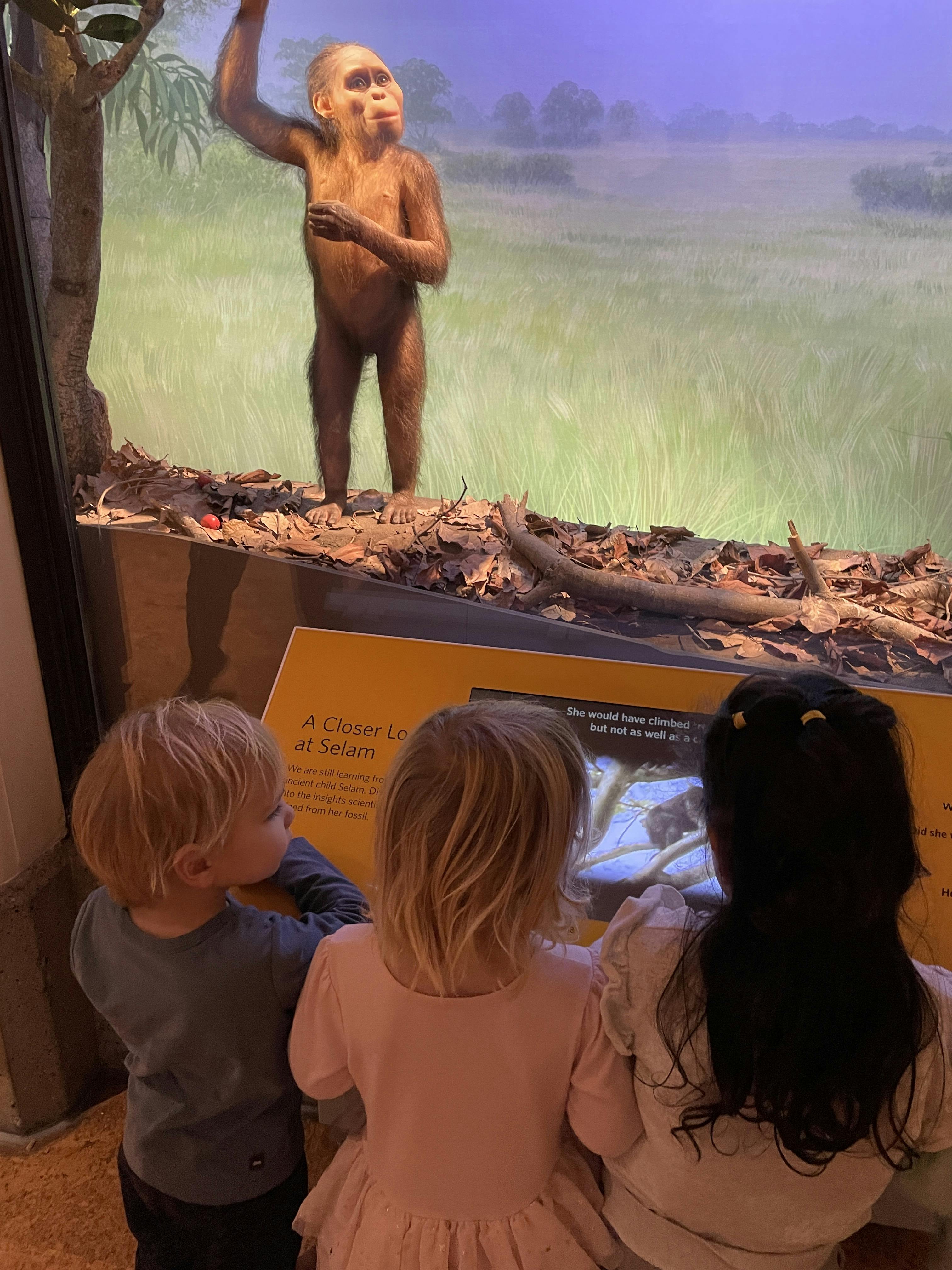 Three children viewing a human ancestor museum exhibit