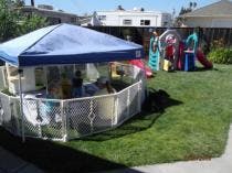 Children playing inside a fenced tent in a grassy yard
