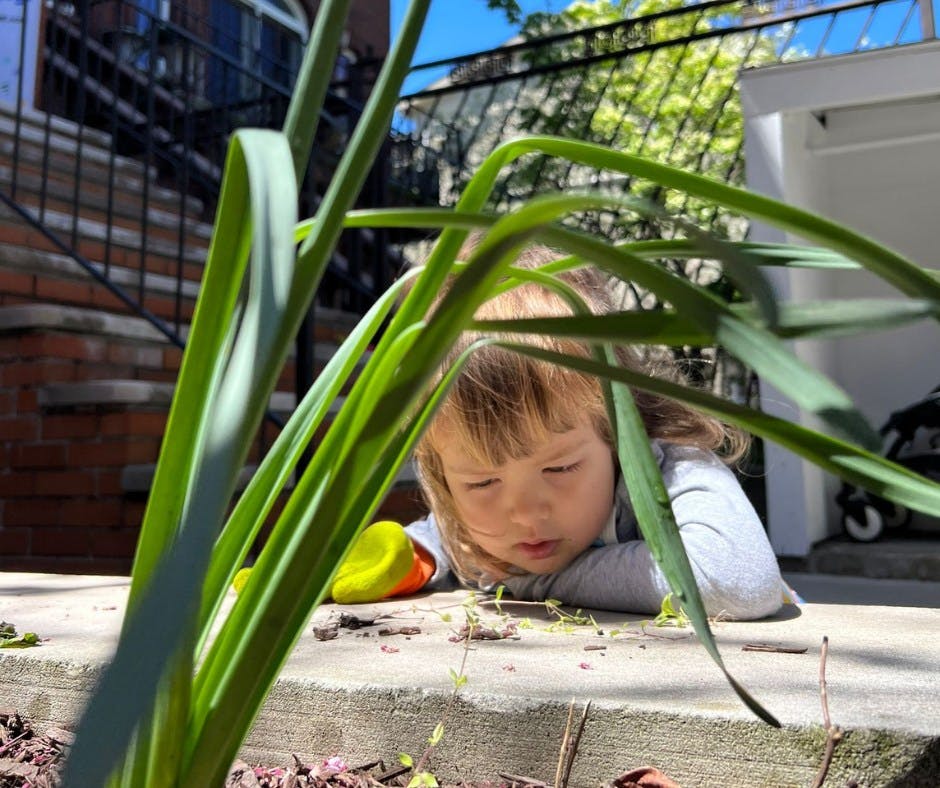 Child looking down at the ground through tall green plants