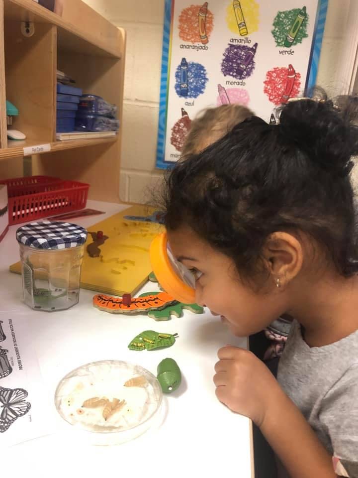 Child looking through a magnifying glass at objects on a table in a classroom