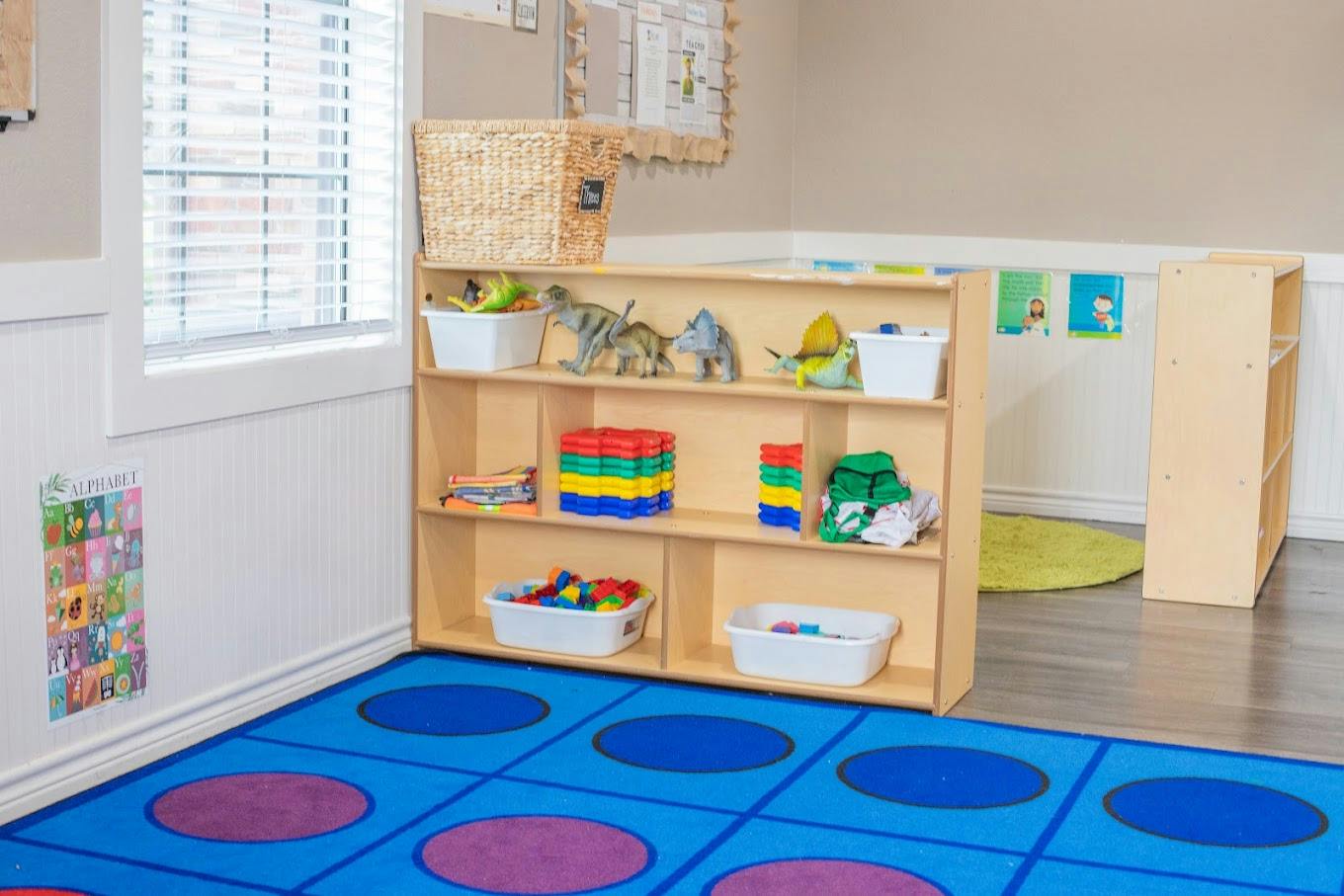 Classroom shelf filled with toy dinosaurs and blocks on a blue rug