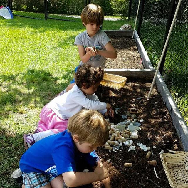 Three children playing in a garden bed