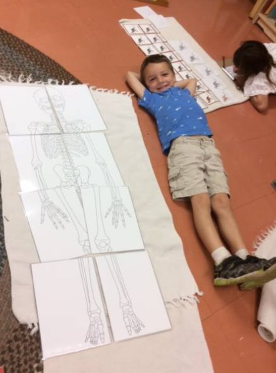 Child lying on floor next to skeleton puzzle