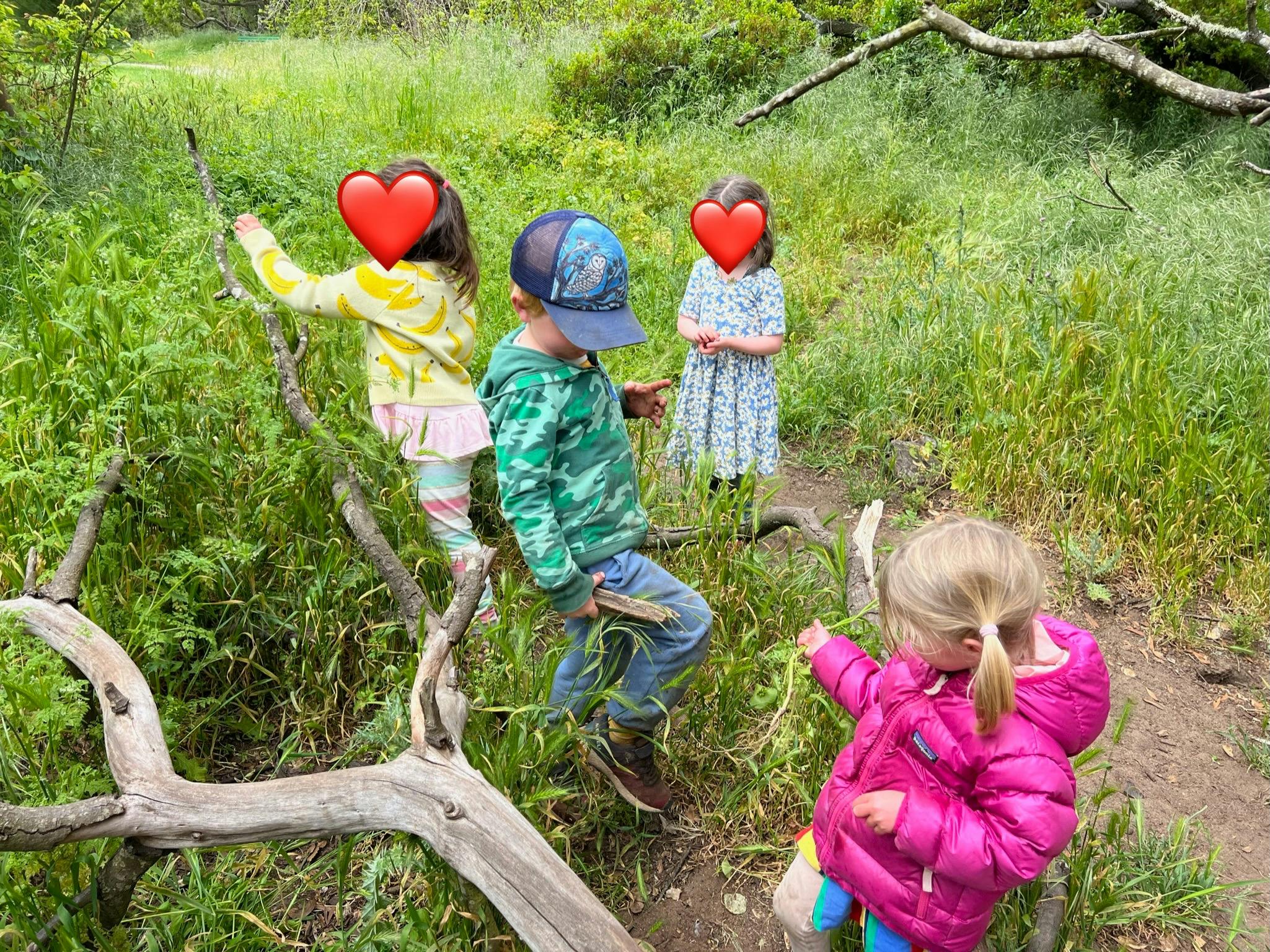 Children playing in tall grass and brush