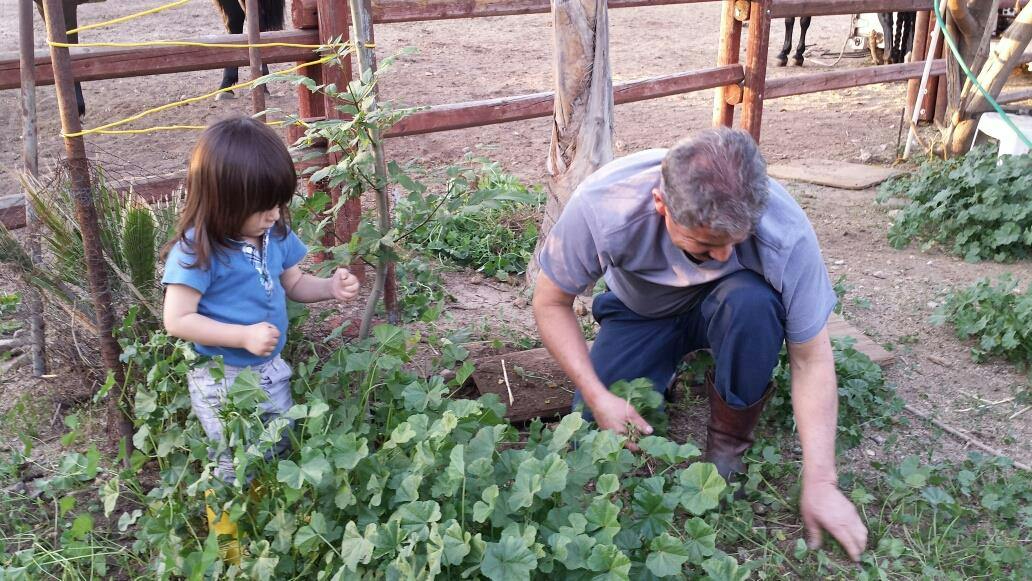 Person and child tending to plants in a garden