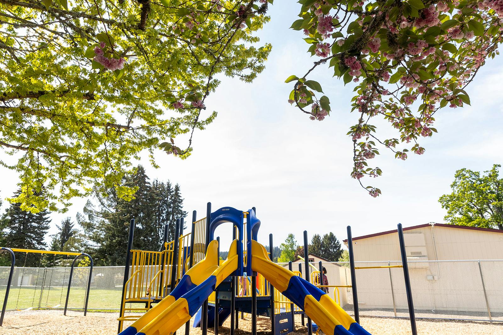 Playground equipment including slides and swings, with flowering trees overhead