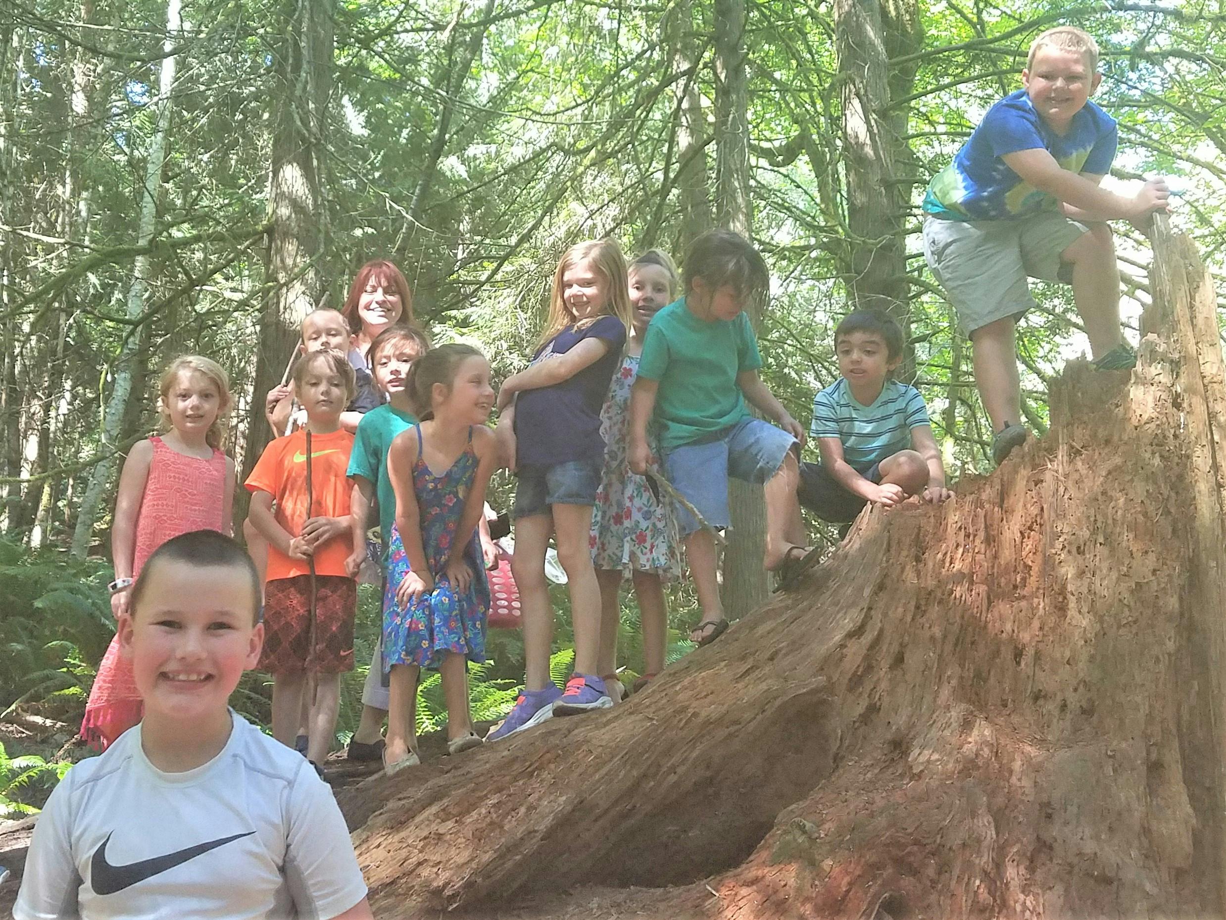 Children and adults on a large tree stump in a forest