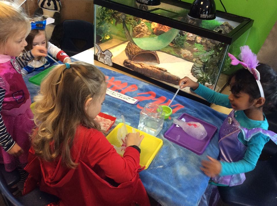 Children doing an activity at a table with a reptile enclosure in the background