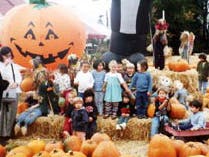 Children sitting on hay bales with pumpkins and a large inflatable pumpkin