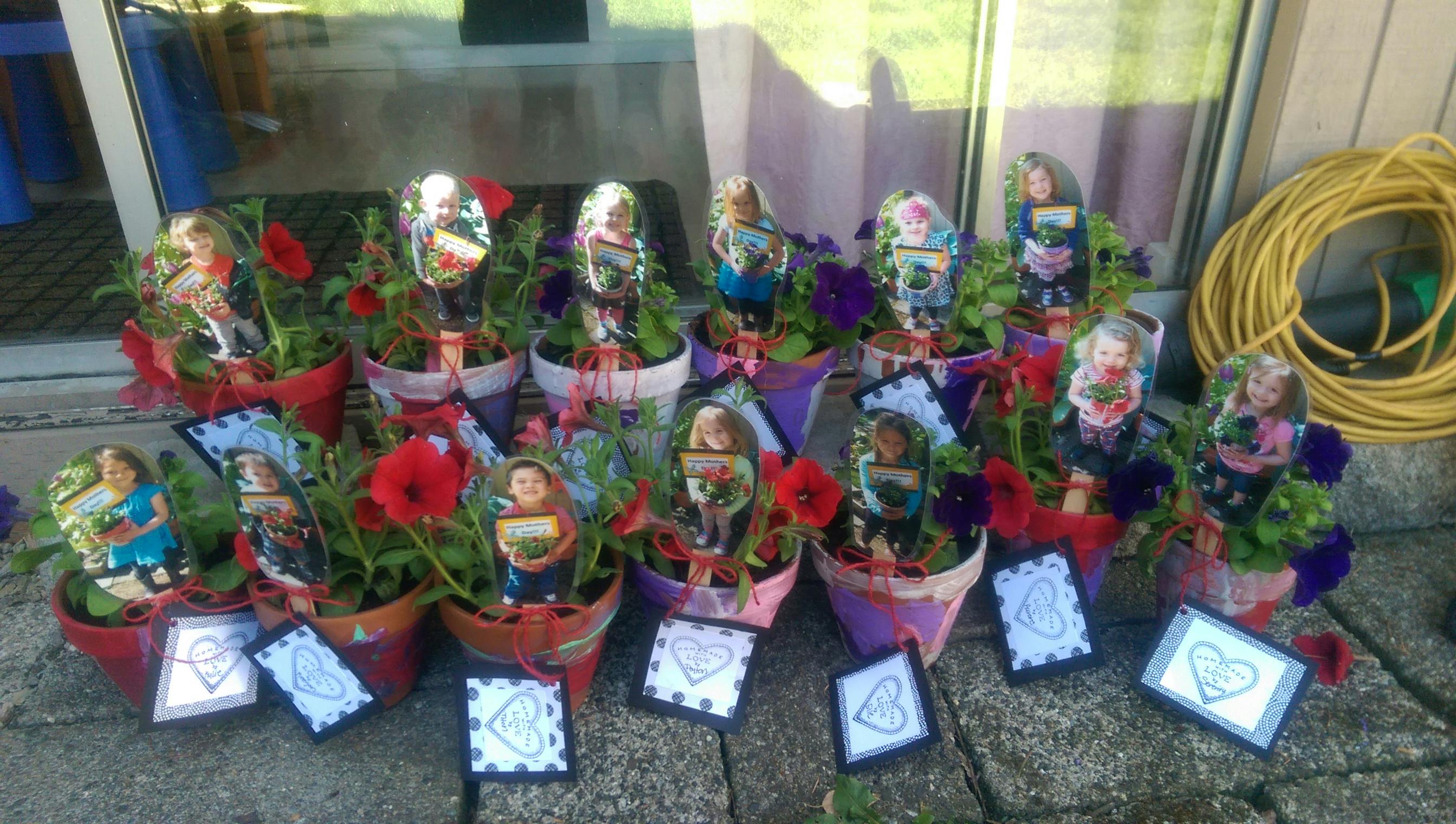 Potted plants with red flowers and decorative figures