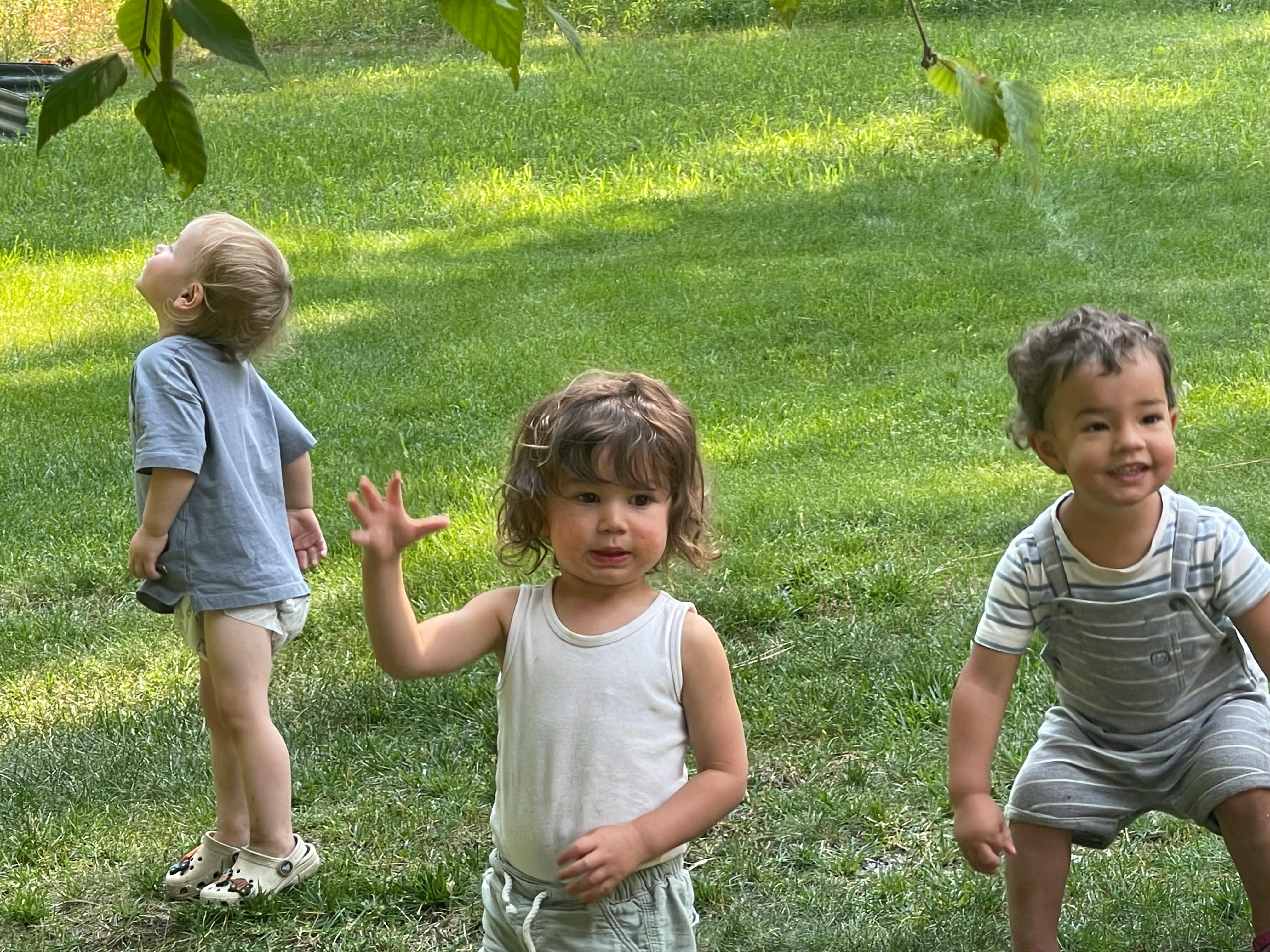 Three children playing outdoors on grass