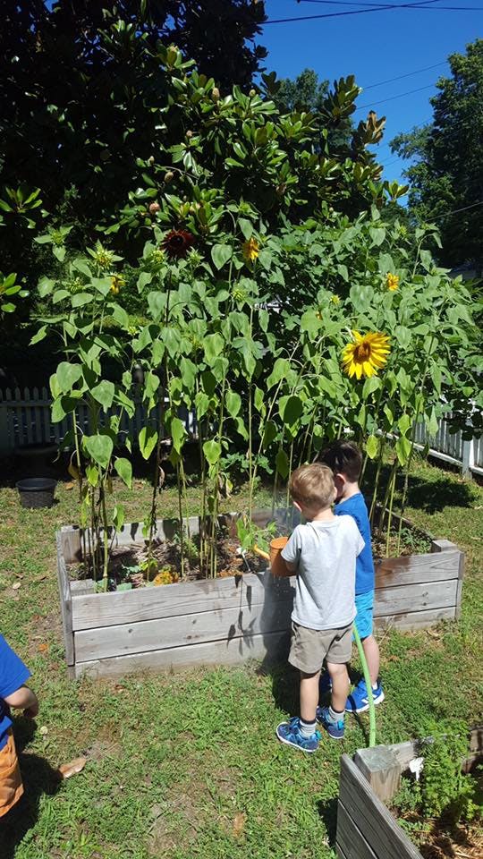 Two children watering plants in a raised garden bed