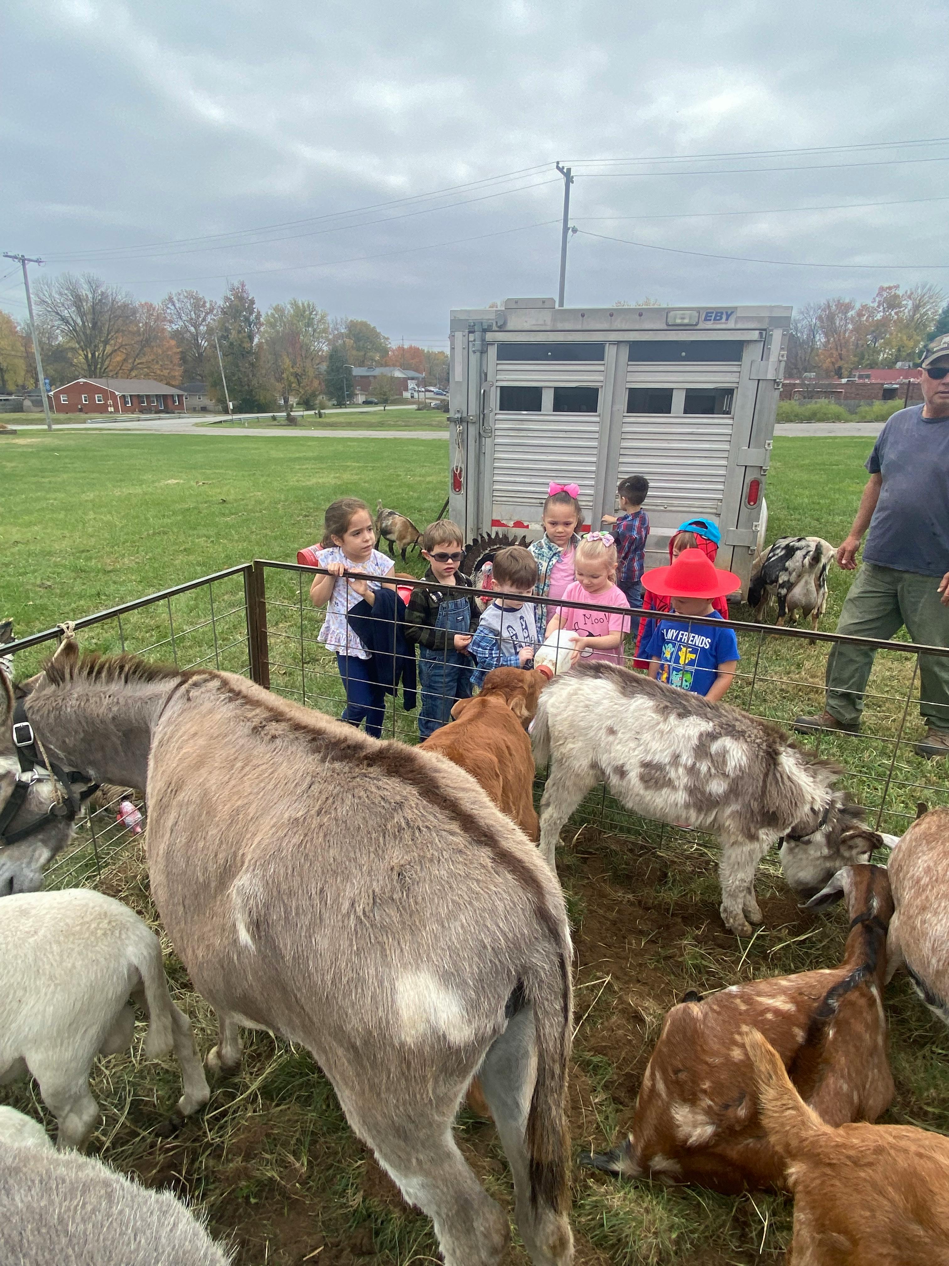 Children looking at donkeys and goats in a fenced area
