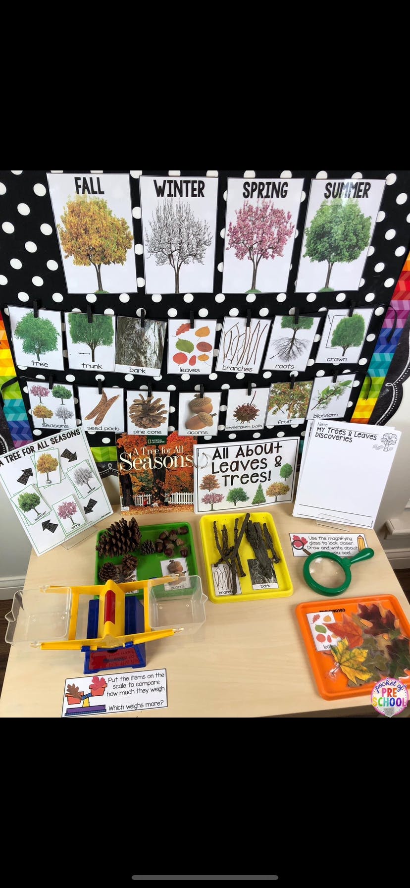 Classroom display with cards showing trees in different seasons and nature items