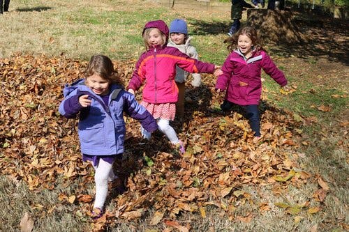 Children playing in a pile of autumn leaves