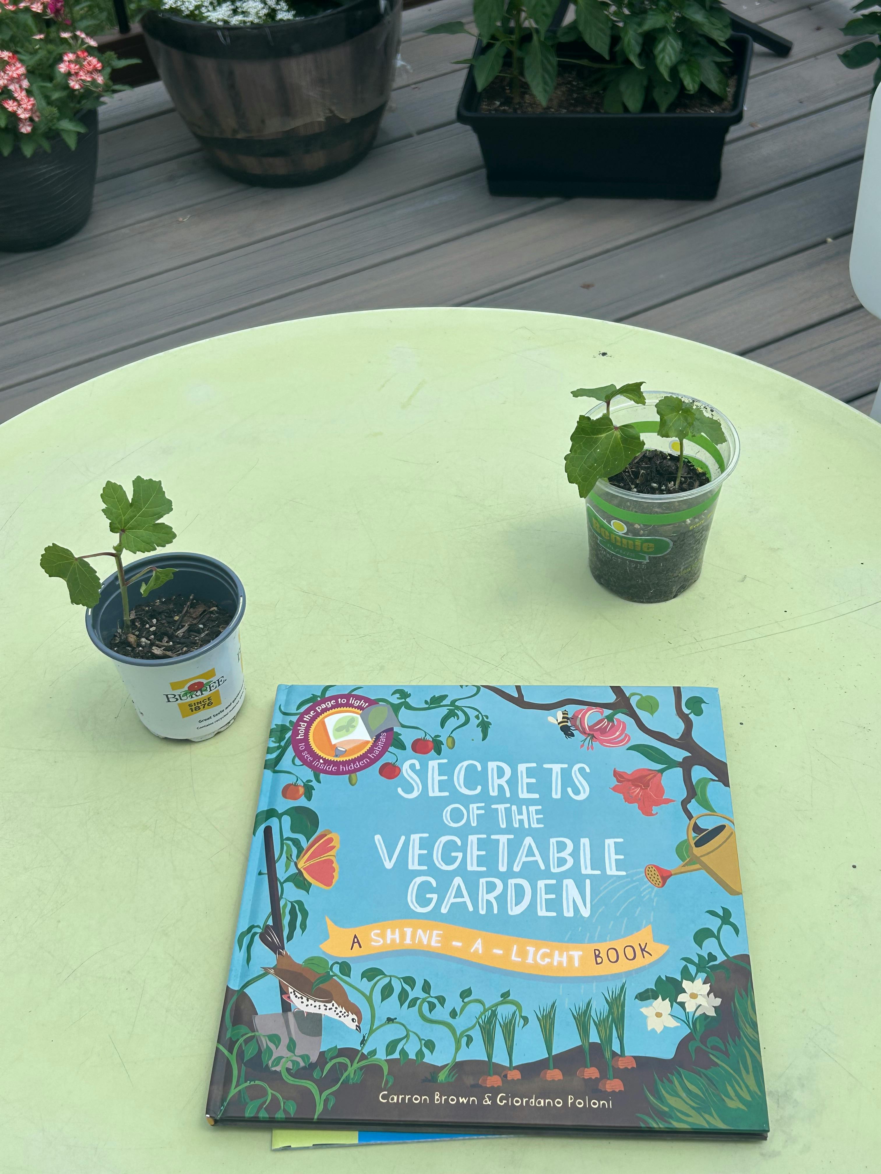 Book "Secrets of the Vegetable Garden" with two small potted plants