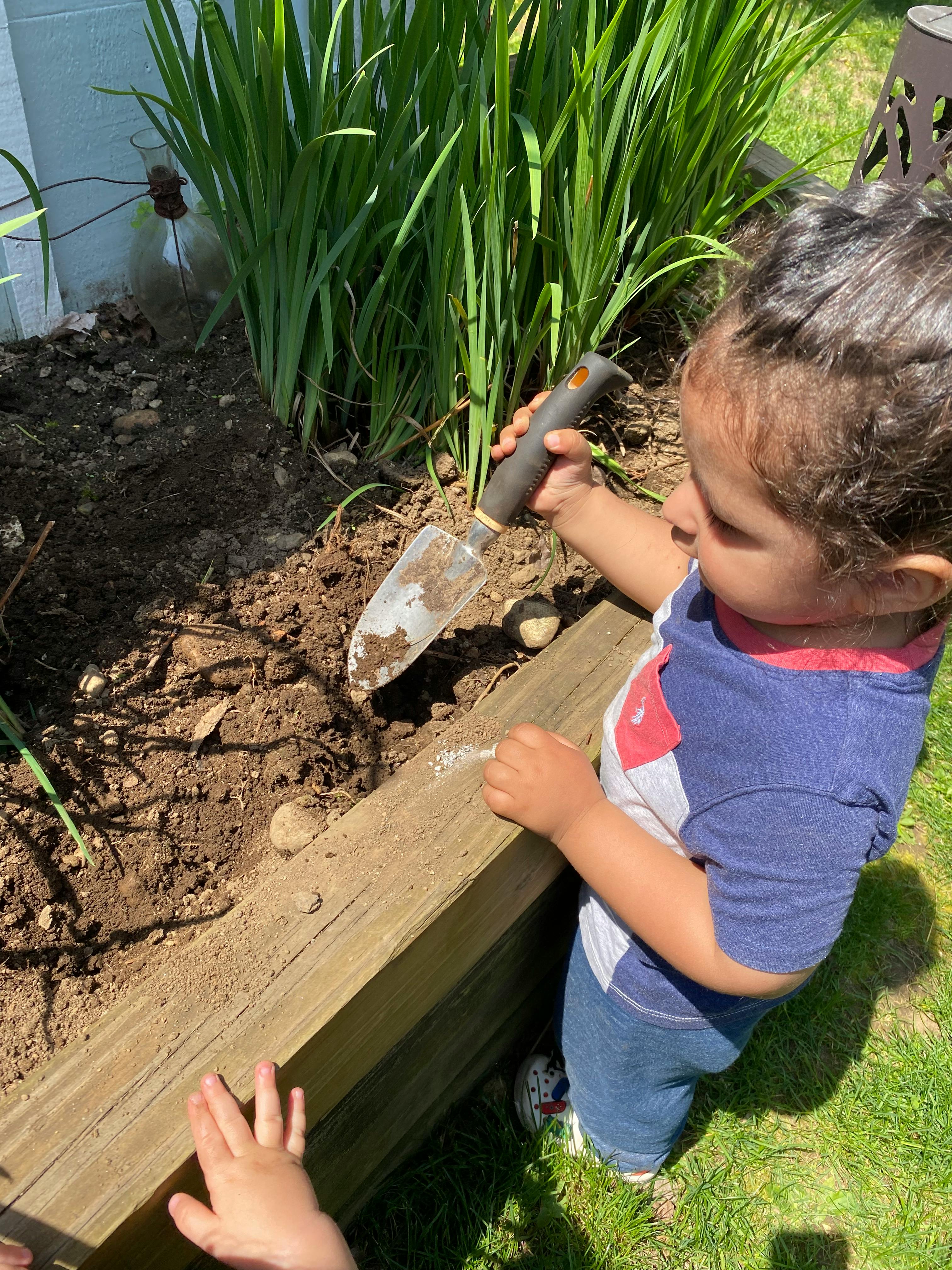 Child digging in a garden bed with a small shovel