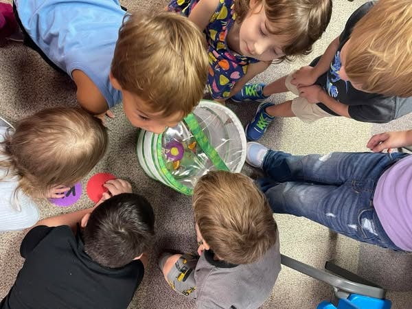 Children gathered around a container on the floor