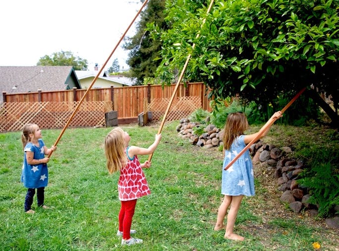 Three children using long sticks to reach into a tree