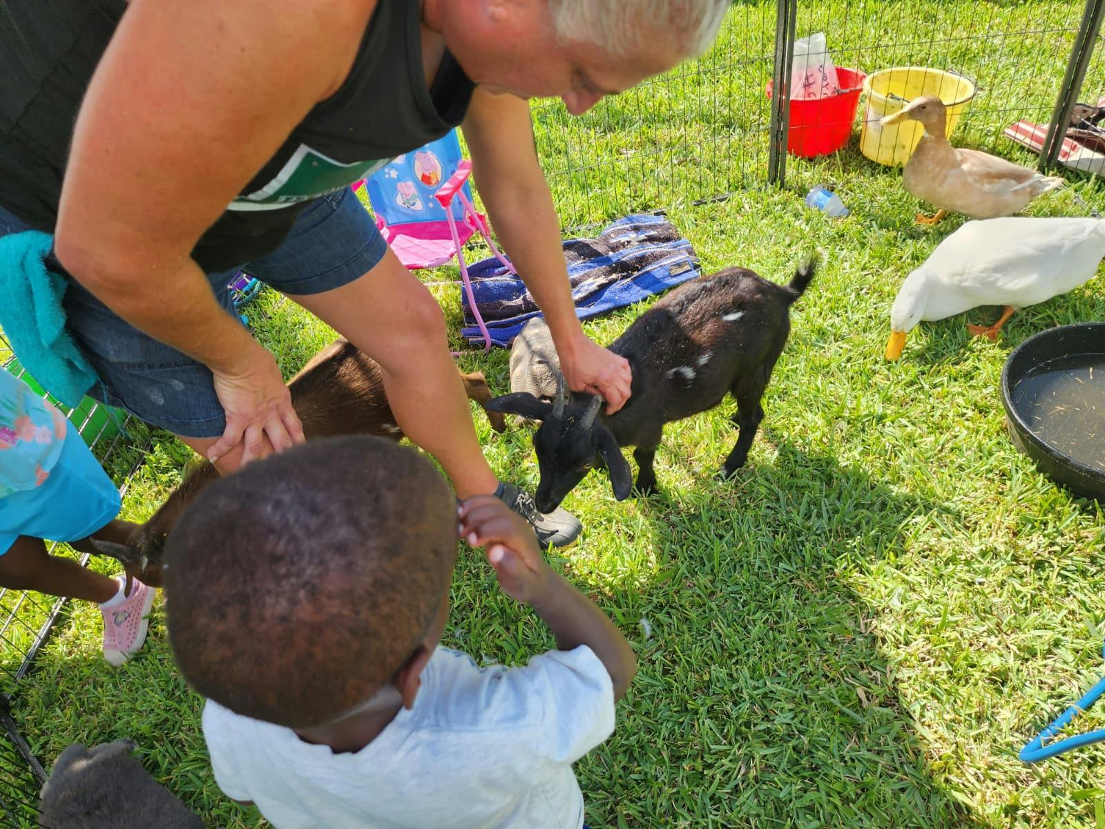 Person petting a small goat surrounded by other people and ducks in a field