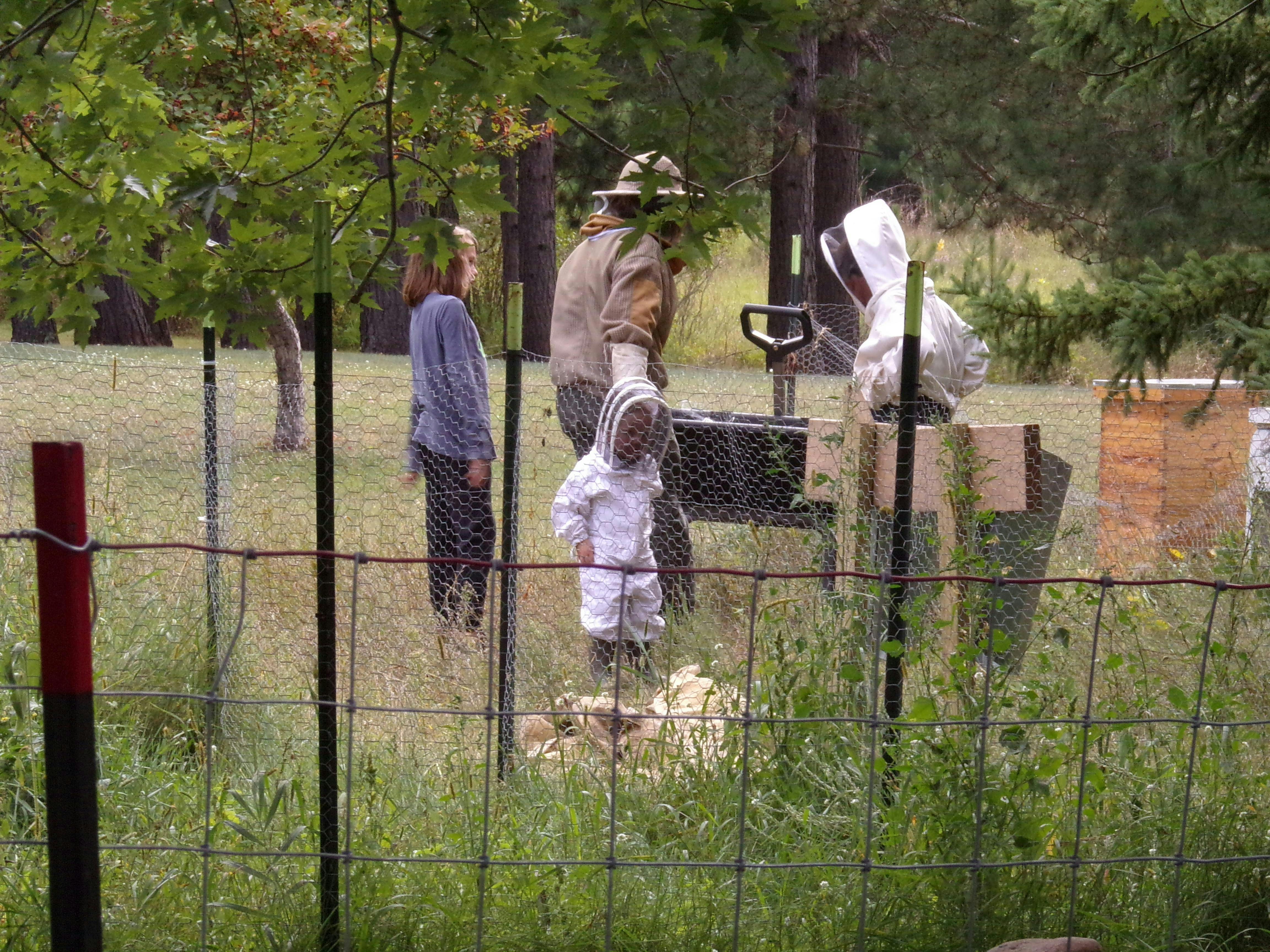 People and a child in beekeeping suits near beehives