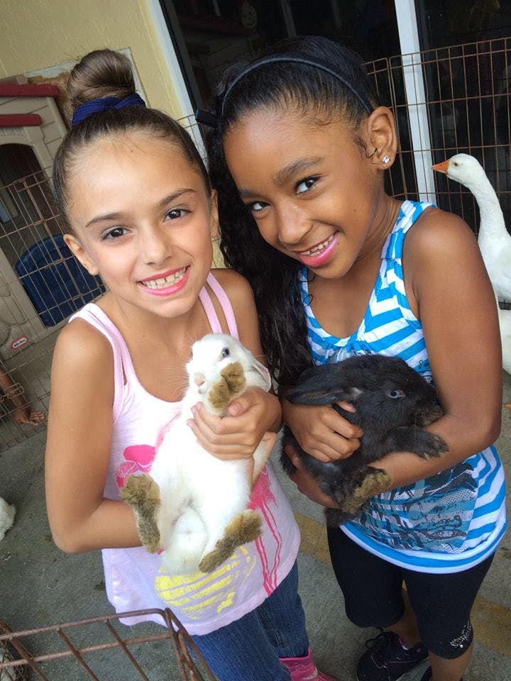 Five Star Learning Center in Hialeah, FL