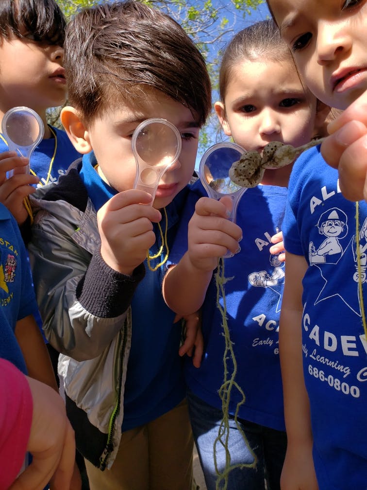 All Star Academy Early Learning Center Daycare in McAllen, TX Winnie