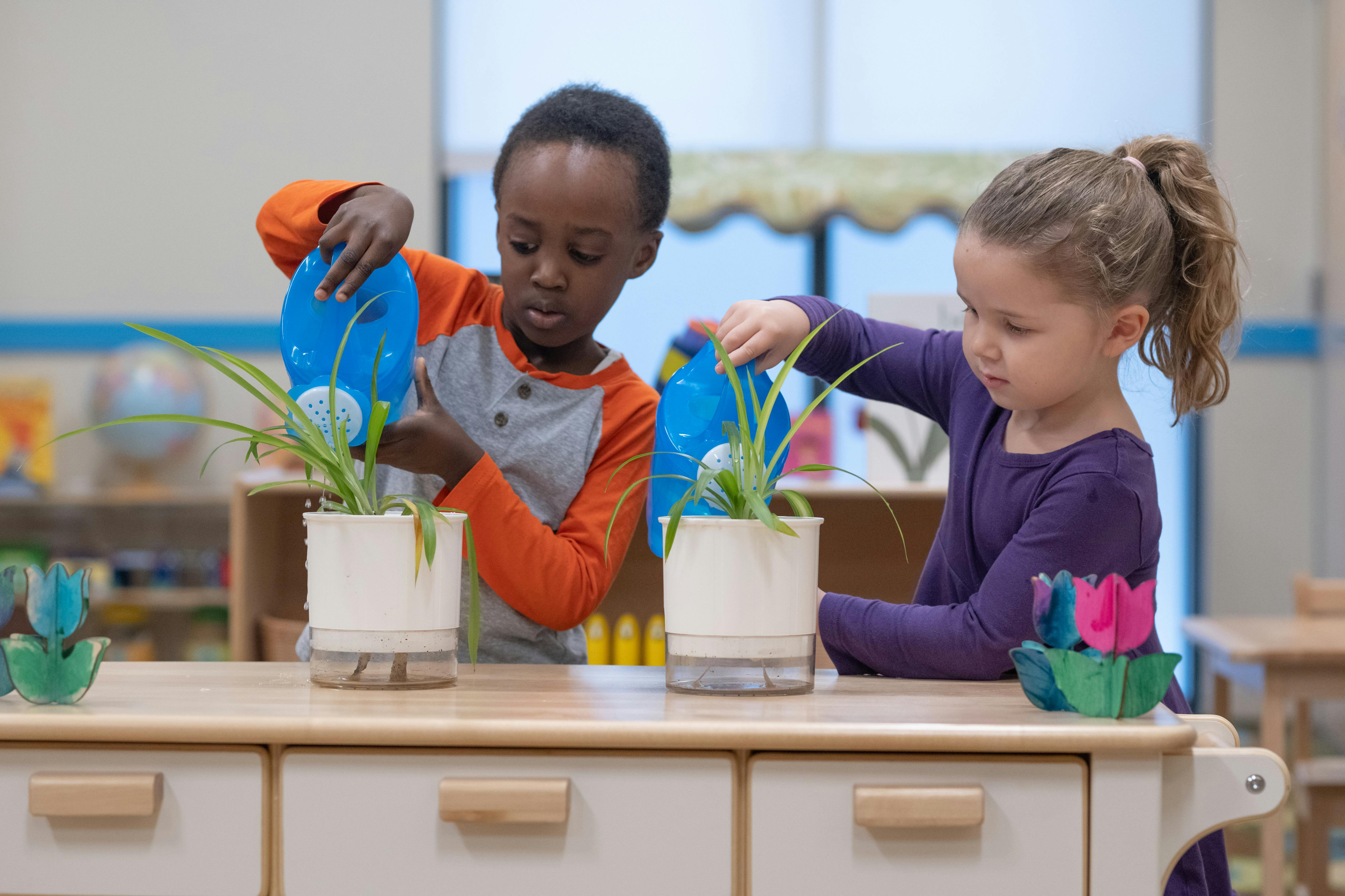 Two children watering plants in a classroom