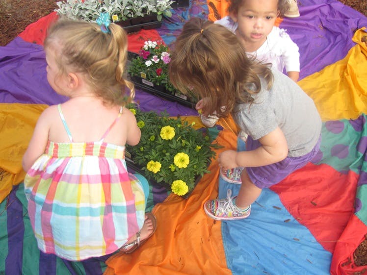 Three children looking at plants with yellow flowers