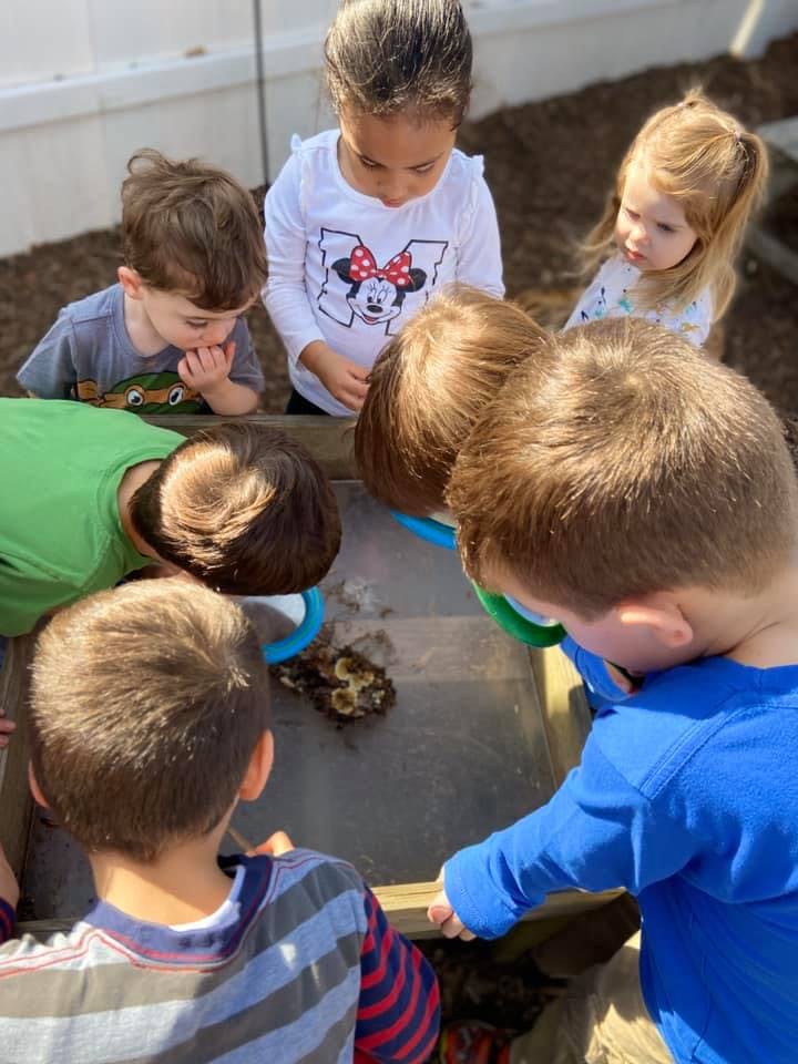 Children gathered around a water table