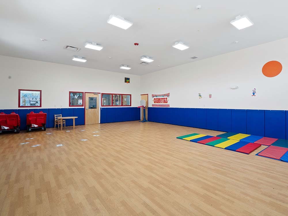 Empty colorful playroom with hardwood floor and blue wall padding