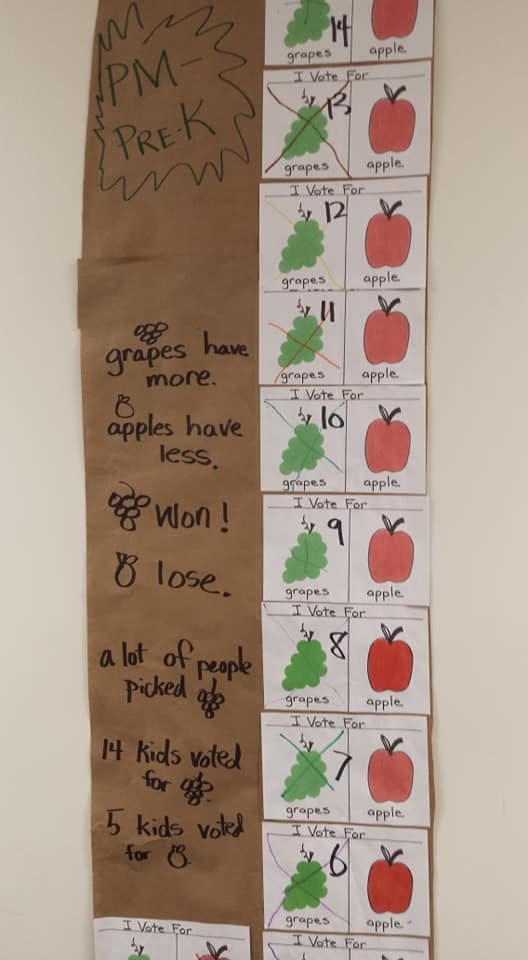 Classroom chart showing votes for grapes versus apples
