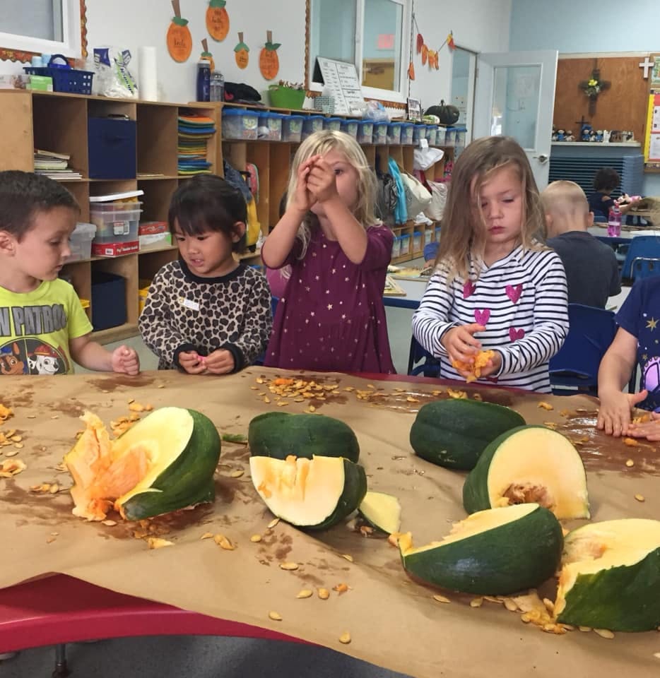 Children removing seeds from gourds on a table