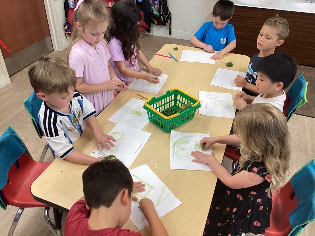 Children drawing on paper with leaves at a classroom table