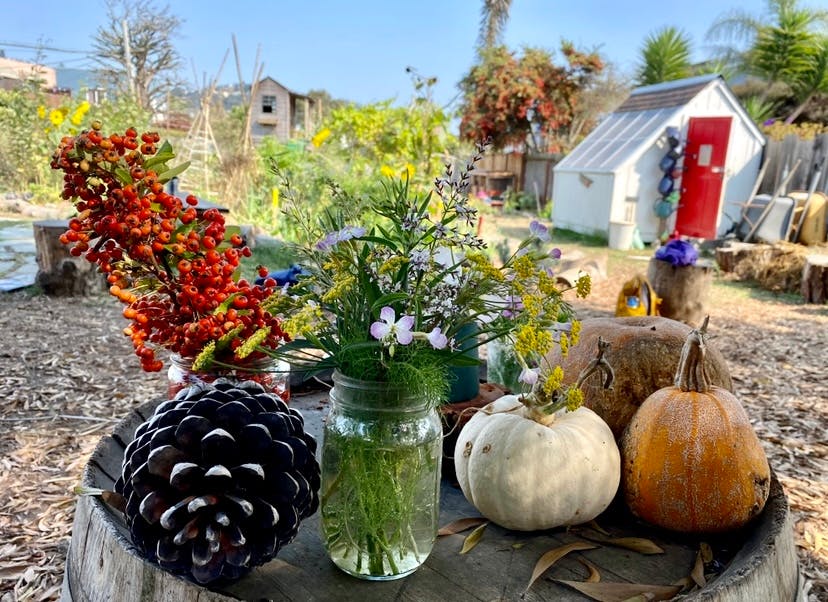Pinecone, flowers in jars, and pumpkins on a wooden surface outdoors