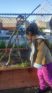 Child looking at a stick figure in a garden