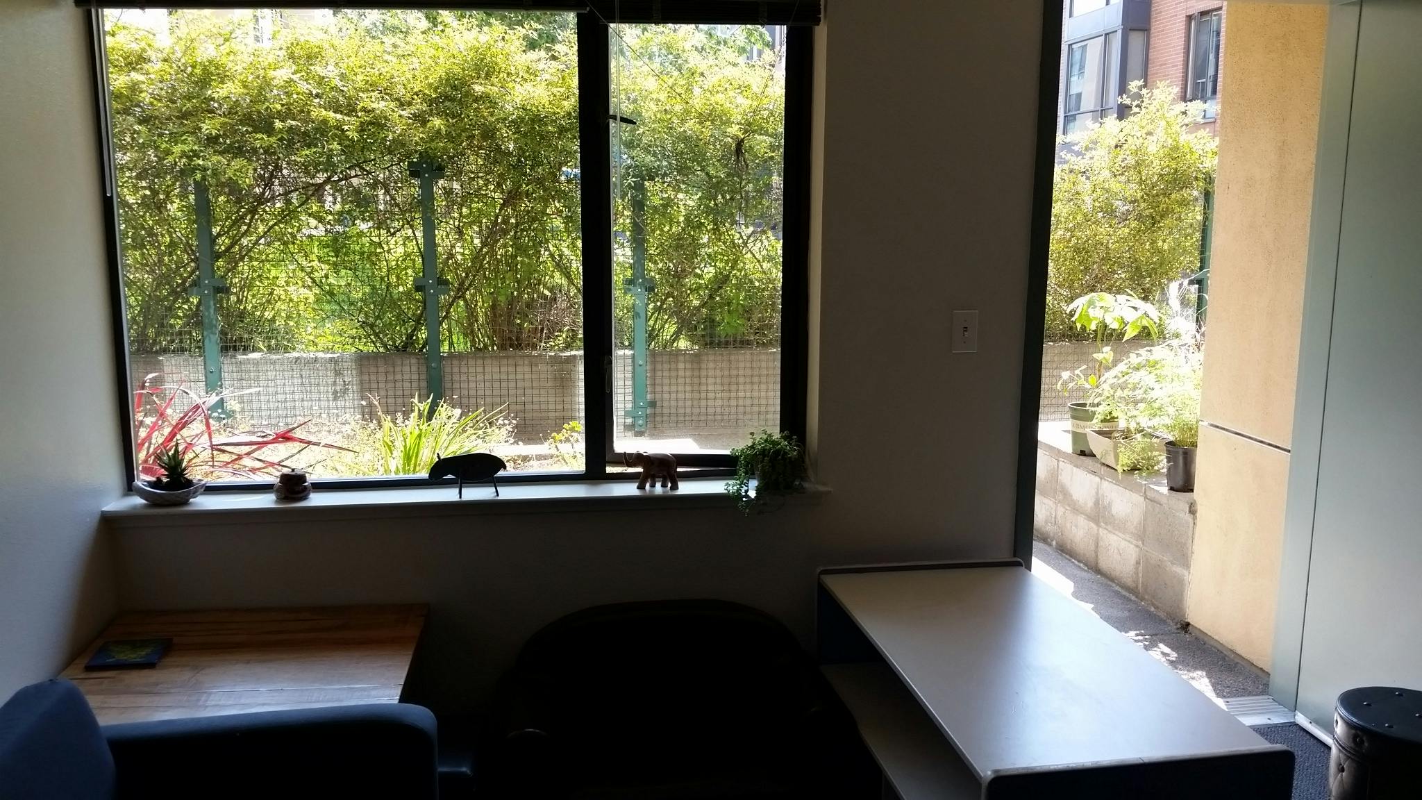 Interior view of a room with a large window looking out onto green foliage
