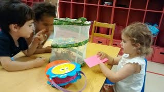 Three children looking at a butterfly habitat