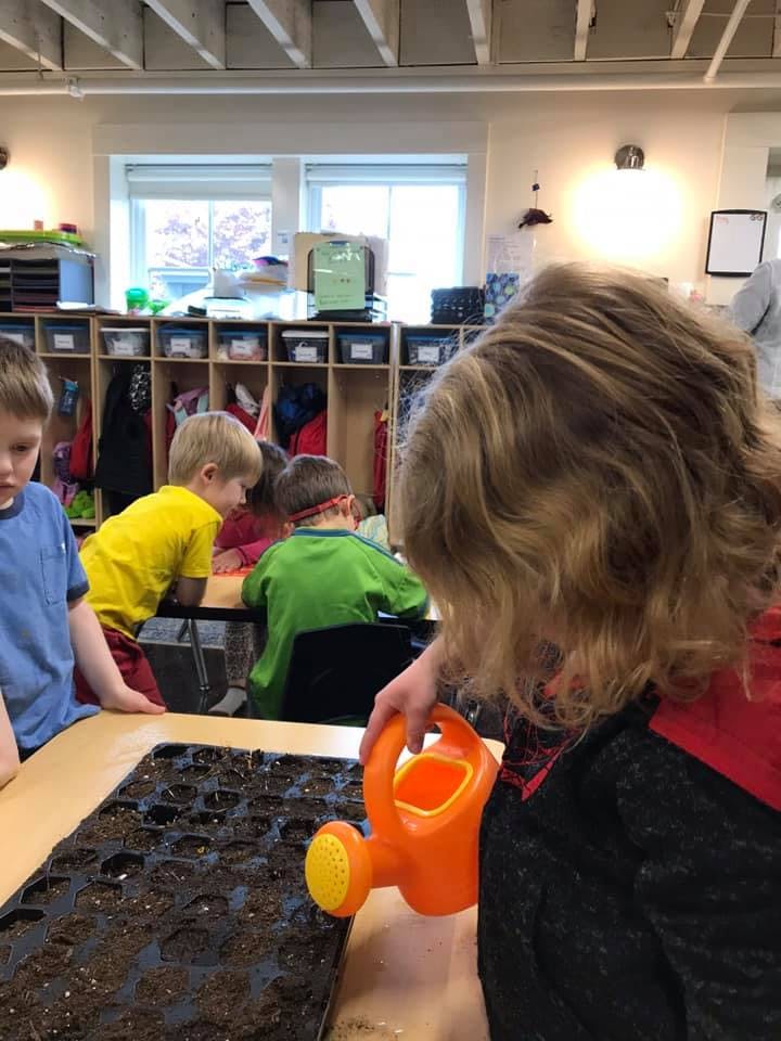 Child watering seeds in a tray with a small watering can in a classroom