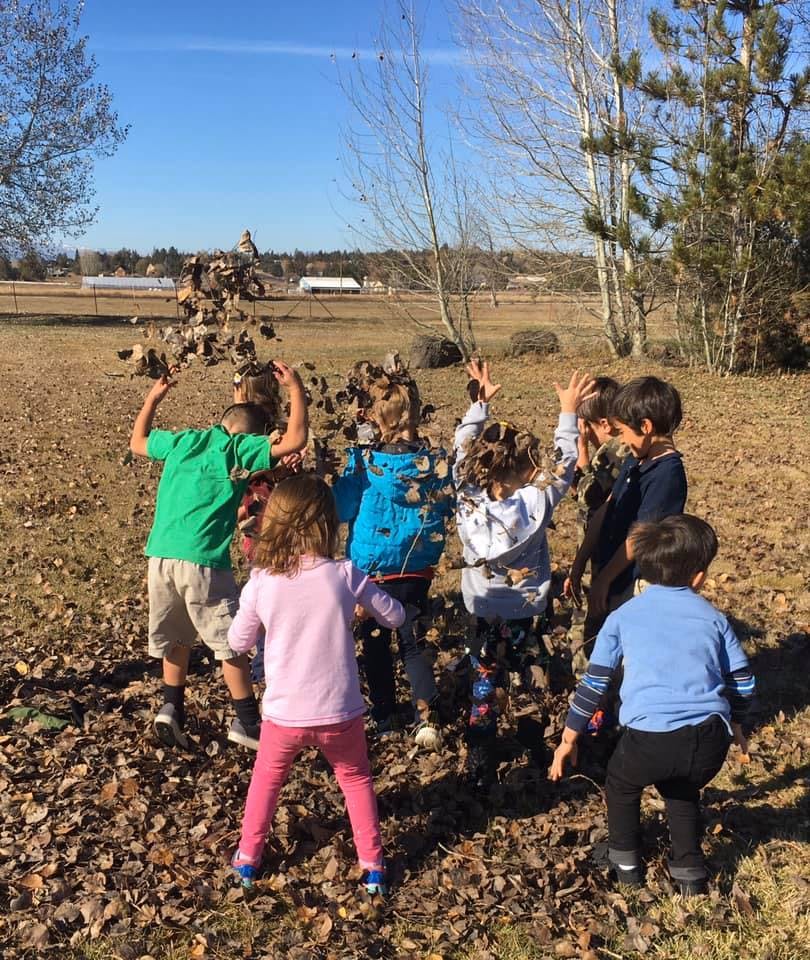 Children throwing leaves in the air outdoors