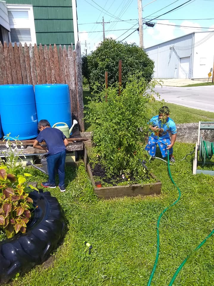 Two people watering plants in a garden
