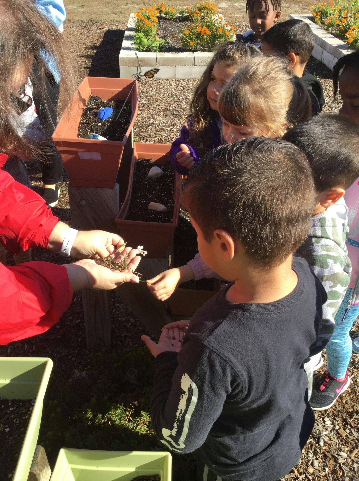 Adult showing soil to children in an outdoor garden