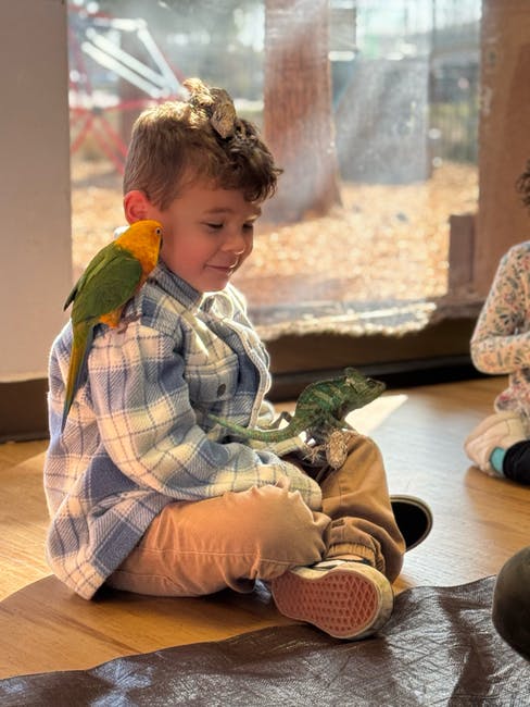 Child with a parrot on their shoulder and a chameleon on their lap