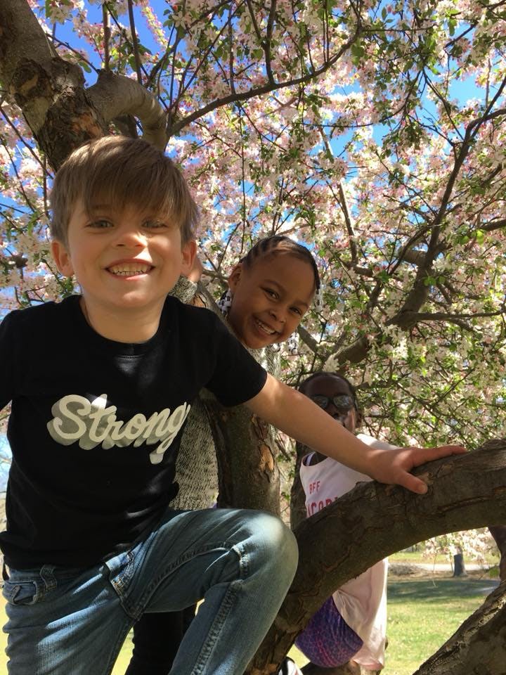 Three children in a tree with pink and white blossoms