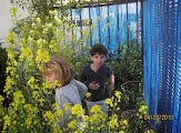 Two children among yellow flowering plants