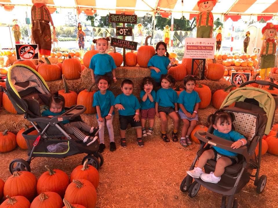 Children and babies in strollers at a pumpkin patch