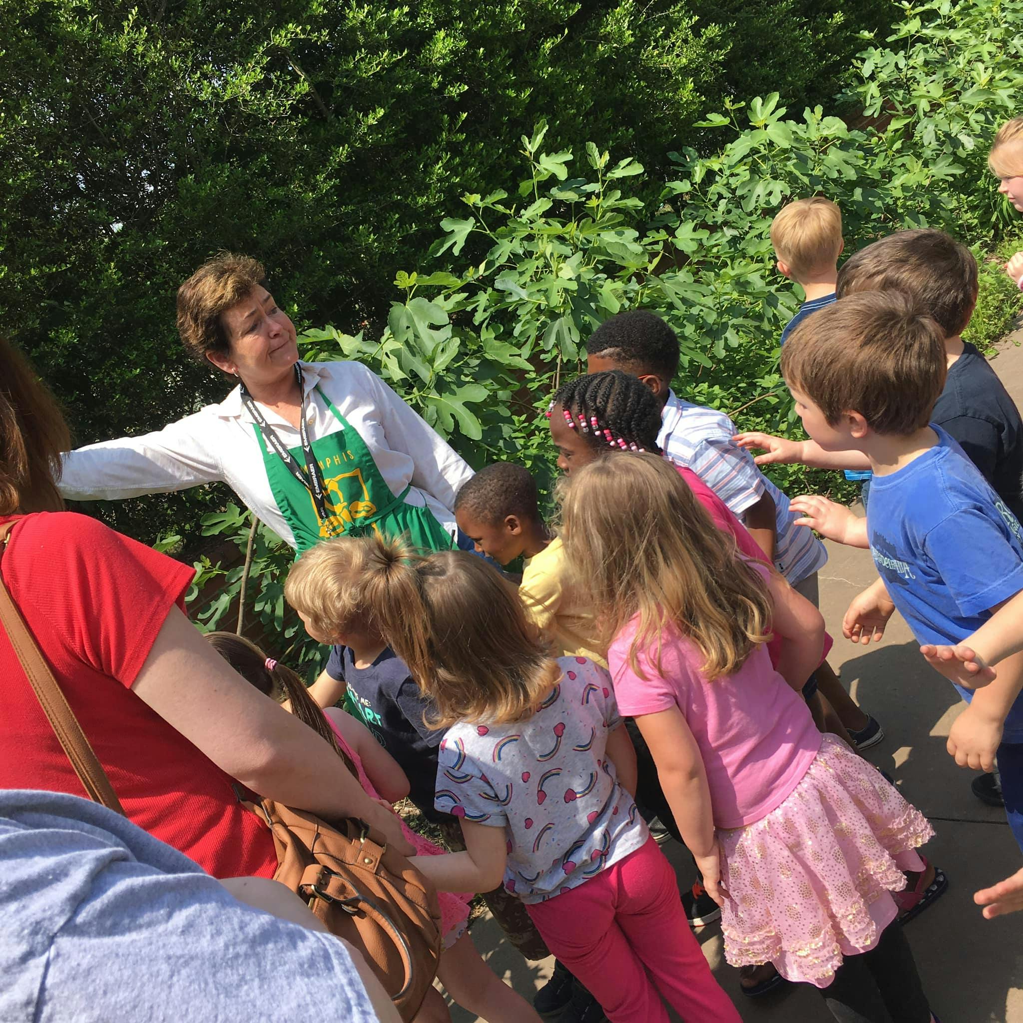 Adult in green apron with a group of children outdoors